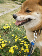 2009.4.22.10001.jpg