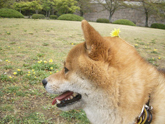 2009.4.22.20002.jpg