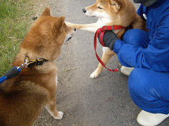 2009.4.7.20002.jpg
