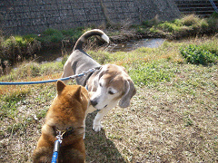 2009.4.9.20007.jpg