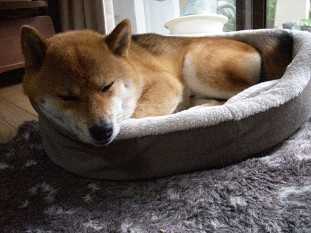 2009.7.13.10001.jpg