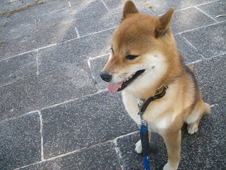 2009.7.17.10001.jpg