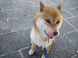 2009.7.17.20002.jpg