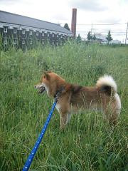 2009.7.19.10001.jpg