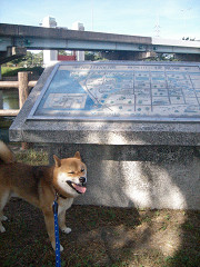 2009.7.19.30003.jpg