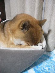 2009.7.23.20002.jpg