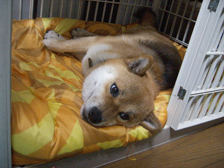 2009.7.25.10001.jpg