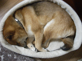2009.7.26.10001.jpg