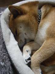 2009.7.26.30003.jpg