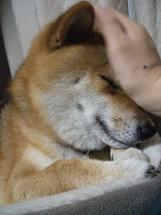 2009.7.27.10001.jpg