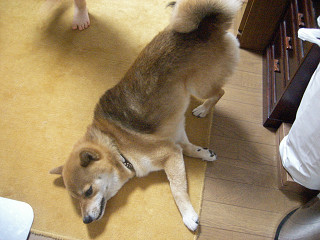 2009.7.27.20002.jpg