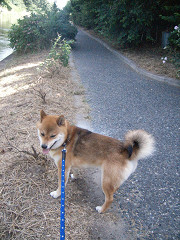 2009.7.28.10001.jpg