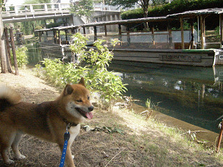 2009.7.28.20002.jpg