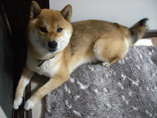 2009.7.290001.jpg