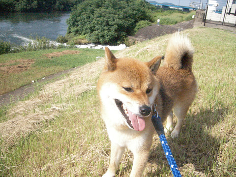 2009.9.14.20002.jpg