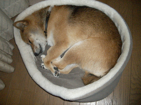 2009.9.20.10001.jpg