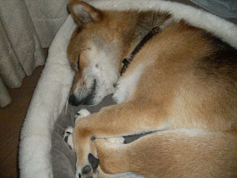 2009.9.20.20002.jpg