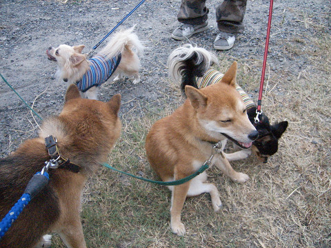 2009.9.280001.jpg