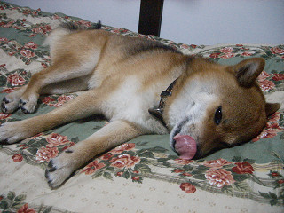 2009.9.4.10001.jpg
