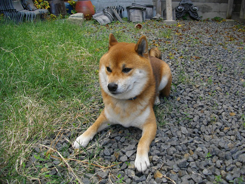 2010.12.10.10001.jpg