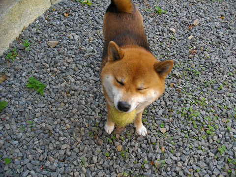 2010.12.10.20002.jpg
