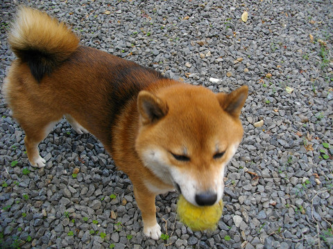 2010.12.10.30003.jpg