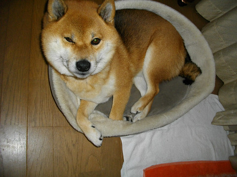 2010.12.11.10004.jpg
