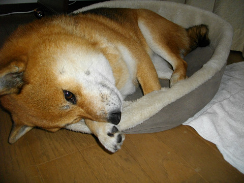 2010.12.11.20005.jpg