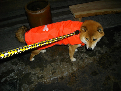 2010.12.12.10001.jpg