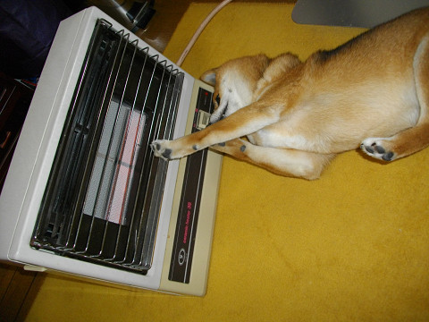 2010.12.13.10003.jpg