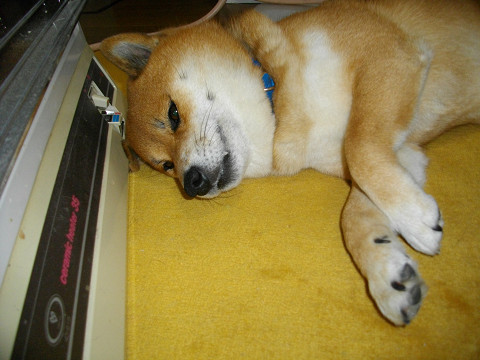 2010.12.13.20004.jpg