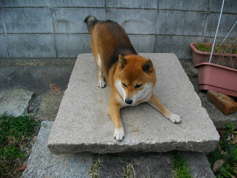 2010.12.17.10001.jpg