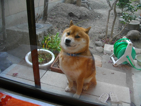 2010.12.17.30003.jpg