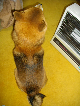 2010.12.19.10001.jpg
