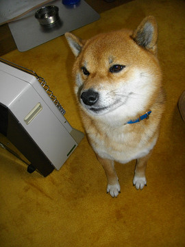 2010.12.19.30002.jpg