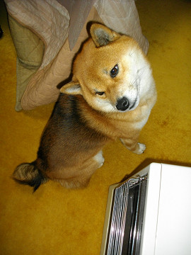 2010.12.19.40003.jpg