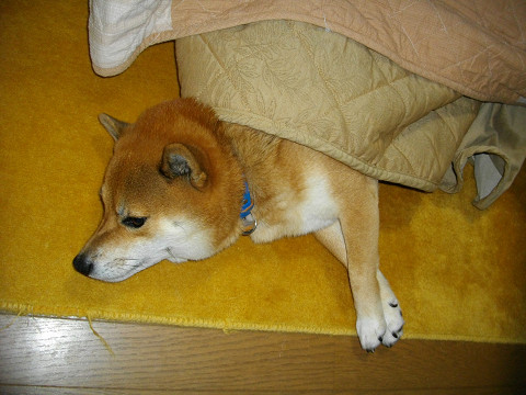 2010.12.2.10001.jpg