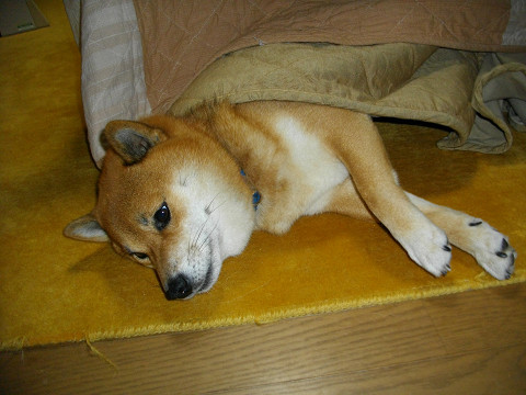 2010.12.2.20002.jpg