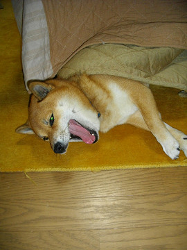 2010.12.2.30003.jpg