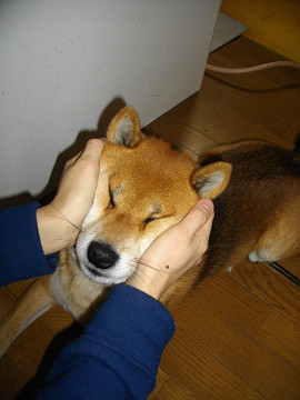 2010.12.21.10001.jpg