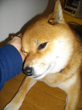 2010.12.21.20002.jpg