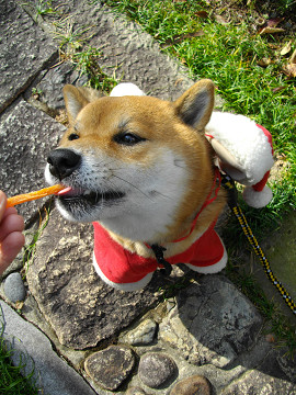 2010.12.24.100009.jpg