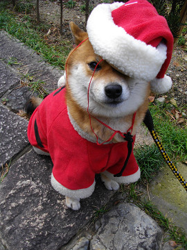 2010.12.24.10001.jpg