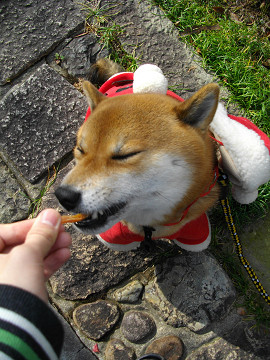 2010.12.24.110010.jpg