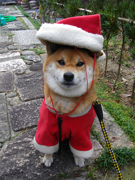 2010.12.24.50004.jpg