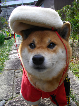 2010.12.24.60005.jpg