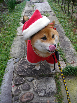 2010.12.24.70006.jpg