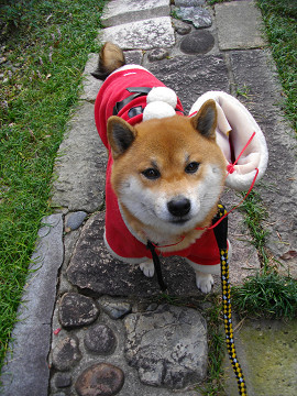 2010.12.24.90008.jpg