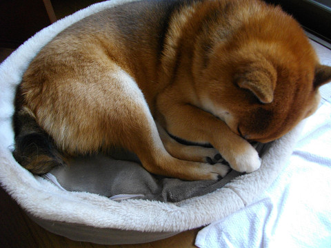 2010.12.28.10001.jpg
