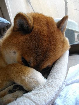 2010.12.28.20002.jpg